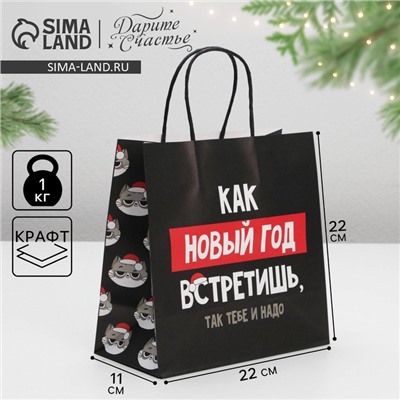 Пакет подарочный новогодний «Так тебе и надо», 22×22×11 см