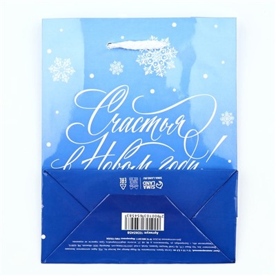 Пакет подарочный новогодний ламинированный «Счастья в Новом году», S 12×15×5.5 см