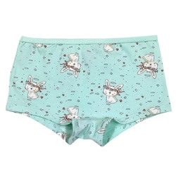 5680 Трусы шорты для девочки многоцвет (BAYKAR)