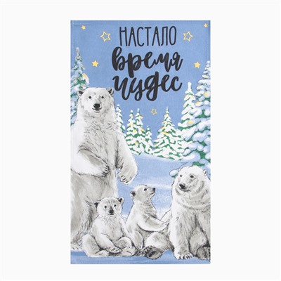 Набор новогодних кухонных полотенец Доляна «С Рождеством» 35×60 см-2 штуки, 100% хлопок