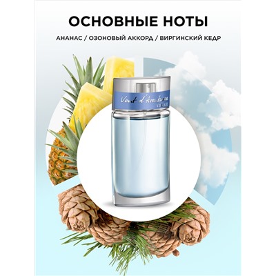 Туалетная вода для мужчин Vent d'Aventures Virage