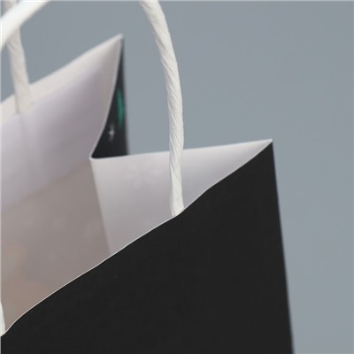 Пакет подарочный новогодний крафтовый, 12×21×9 см