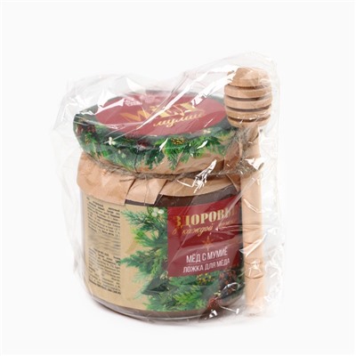 Мёд с мумиё «Здоровье в каждой ложке», новогодний подарок