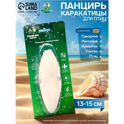 Панцирь каракатицы для птиц 13-15 см, белый