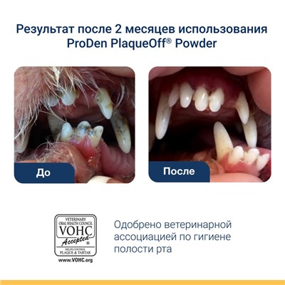 Средство для профилактики зубного камня ProDen PlaqueOff для кошек, 40 г