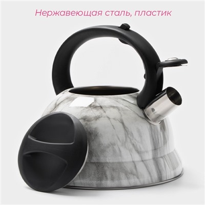 Чайник со свистком из нержавеющей стали Доляна «Каррар», 2,8 л