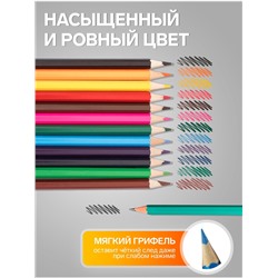 Карандаши Calligrata, цветные, 12 цветов, ЭКОНОМ, шестигранные, пластиковые, пенал-тубус и 3 чернографитных карандаша с ластиком в ПОДАРОК