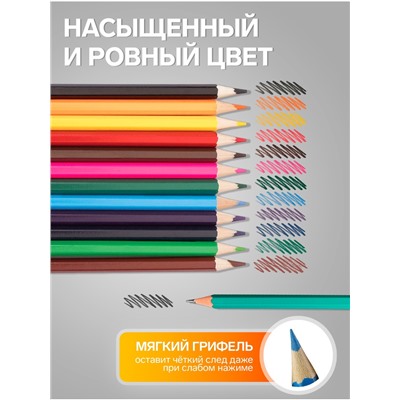 Карандаши Calligrata, цветные, 12 цветов, ЭКОНОМ, шестигранные, пластиковые, пенал-тубус и 3 чернографитных карандаша с ластиком в ПОДАРОК