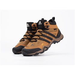 Зимние Ботинки Adidas Terrex Winter