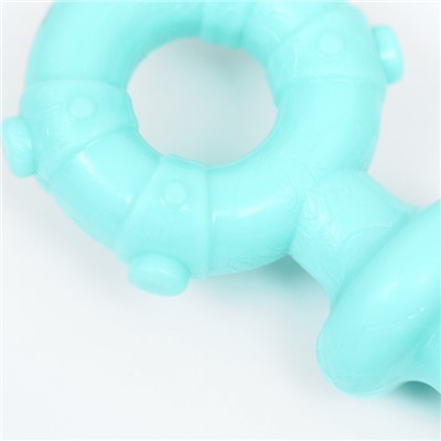 Игрушка для собак Пижон Premium «Якорь», 10×1.3 см, мятная