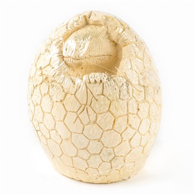 Раскопки «Диномир», гипсовое яйцо, инструменты, 5+