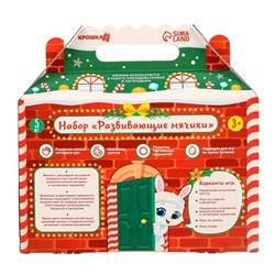 Подарочный набор развивающих тактильных мячиков «Праздничный домик», 5 шт., Крошка Я