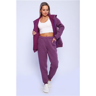 688 Костюм с начесом ZIP