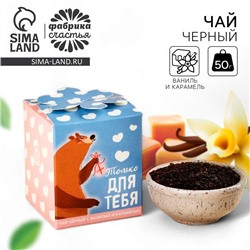 Чай подарочный «Лучший твой подарочек», вкус: ваниль и карамель, 50 г