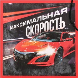Мешок для обуви «Максимальная скорость» (болоньевый материал) 40×30 см