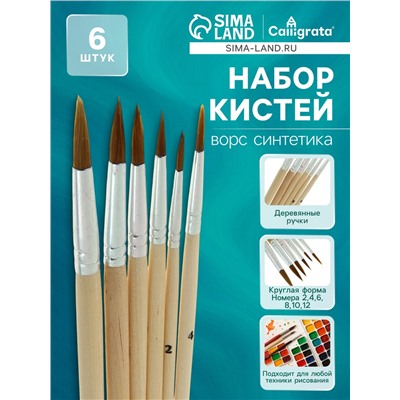 Набор кистей нейлон, круглые, средней жёсткости, 6 штук : №2, 4, 6, 8, 10, 12, с деревянными ручками, в блистере