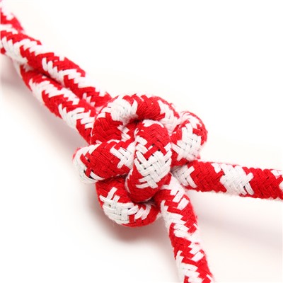Игрушка канатная «Узел с массажным шариком», до 31 см, до 65 г, микс цветов