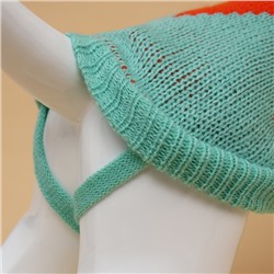 Свитер для животных «Весеннее настроение», XS (ДС 34, ОШ 34, ОГ 32-51 см)