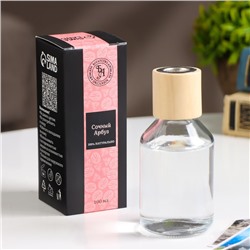 Наполнитель для диффузора,100 мл, Сочный арбуз