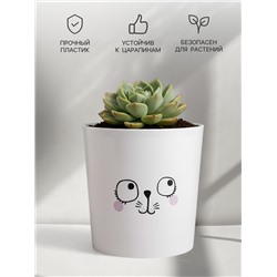 Кашпо для цветов «Мордочка», 1.6 л, d=14 см, h=14 см, пластиковое
