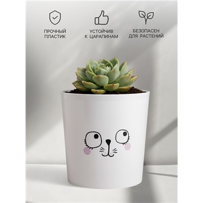 Кашпо для цветов «Мордочка», 1.6 л, d=14 см, h=14 см, пластиковое