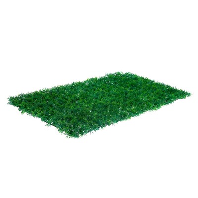 Декоративная панель, 60×40 см, «Аспарагус», Greengo