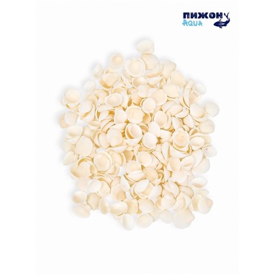 Набор ракушек декоративных 1.5-3 см, 100 г