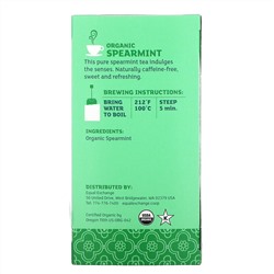 Equal Exchange, Organic Spearmint Herbal Tea, Caffeine-Free, 20 Tea Bags, 0.99 oz (28 g)