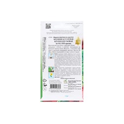 Семена Цветов Бегония крупноцветковая «Камелия», красная, 10 шт., «Дом семян»