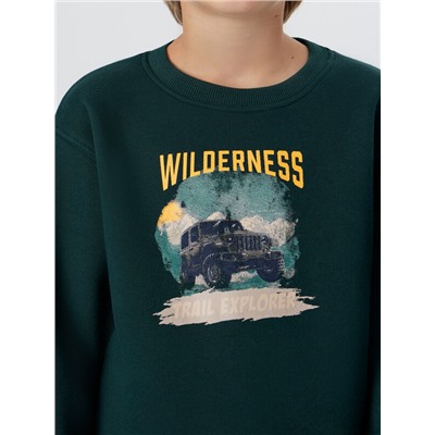 СВИТШОТ ДЛЯ МАЛЬЧИКОВ 123431/1