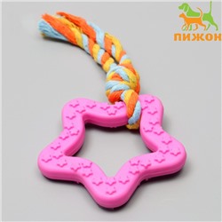 Игрушка жевательная с канатом «Звезда с хвостом», розовая