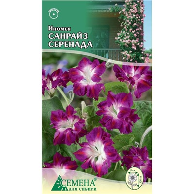 Ипомея Санрайз серенада, 0,2г (цв.)