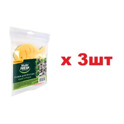 Master FRESH Губки для мытья посуды 2шт Фигурные 3шт