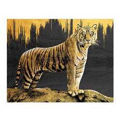 Холст с красками 30х40 по номерам "Золотой тигр" (в коробке) (30цв.)