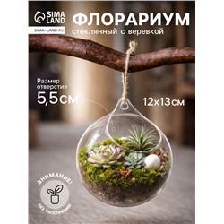 Флорариум «Шар капля», с верёвкой, 12×12×13 см, стекло, прозрачный