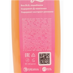 Гель для душа детский, аромат карамельные конфетки, 250 мл, Коты аристократы
