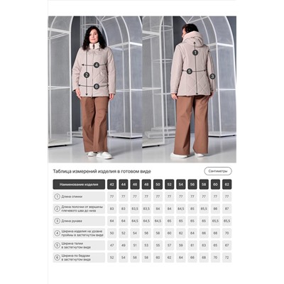 Куртка DIZZYWAY, 1137084