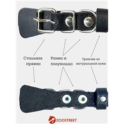 Ошейник, 35×1.5 см, с подкладом и светоотражающей лентой, кожа, чёрный