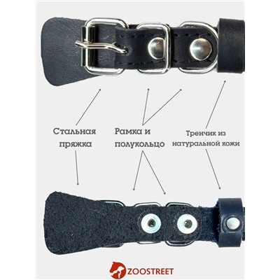 Ошейник, 35×1.5 см, с подкладом и светоотражающей лентой, кожа, чёрный