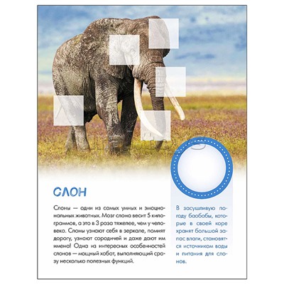 Мир животных с наклейками. Кто живёт в зоопарке?