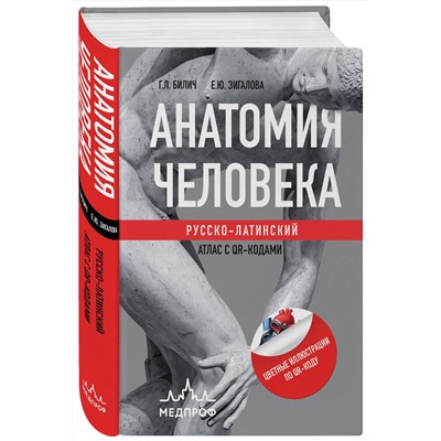 Эксмо Габриэль Лазаревич Билич, Елена Юрьевна Зигалова "Анатомия человека: Русско-латинский атлас с QR-кодами на цветные изображения"