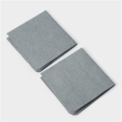 Салфетки для уборки Future Alp Multilayer, 2 шт., микрофибра, ПВА, 30×30 см, серые