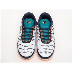 Кроссовки Nike Air Max Plus TN