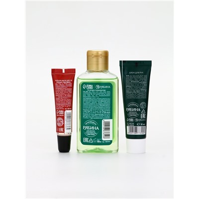 Подарочный набор новогодний: гель для душа, крем для рук и бальзам для губ, аромат яблоко, URAL LAB