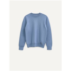 Джемперы ESLI Джемпер для мальчика 24С-13СП