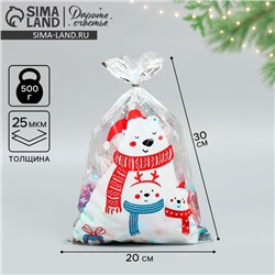 Пакет подарочный новогодний пластиковый «Тепла и уюта», 20×30 см