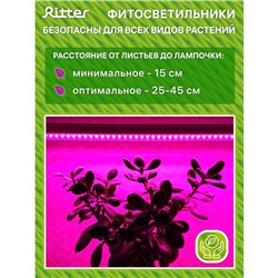 Фитосветильник для растений Ritter, светодиодный, 10 Вт, 572 мм, IP20, T5, на прищепке, биколорный