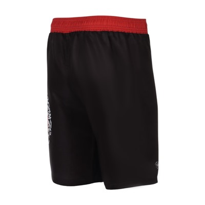 Шорты для ММА FIGHT EMPIRE, ART500, р. L, чёрные