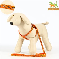 Комплект «Собачки», ширина 1 см, поводок 1.2 м, шлейка 23-35 см, оранжевый