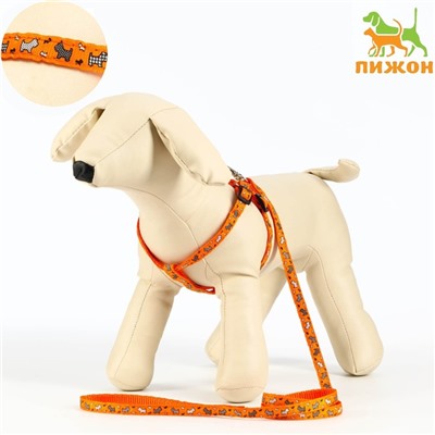 Комплект «Собачки», ширина 1 см, поводок 1.2 м, шлейка 23-35 см, оранжевый